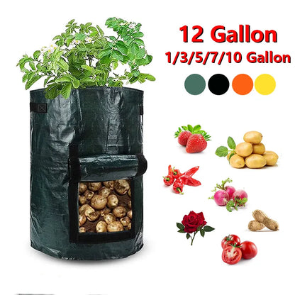 PE Potato Grow Bags